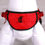 Passport Reflective Dog Harness - We Donate a Harness to a Dog Rescue for Every Harness Sold (Large, RED)