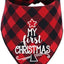 Dog First Christmas Bandana,Red Plaid Xmas Puppy Scarf