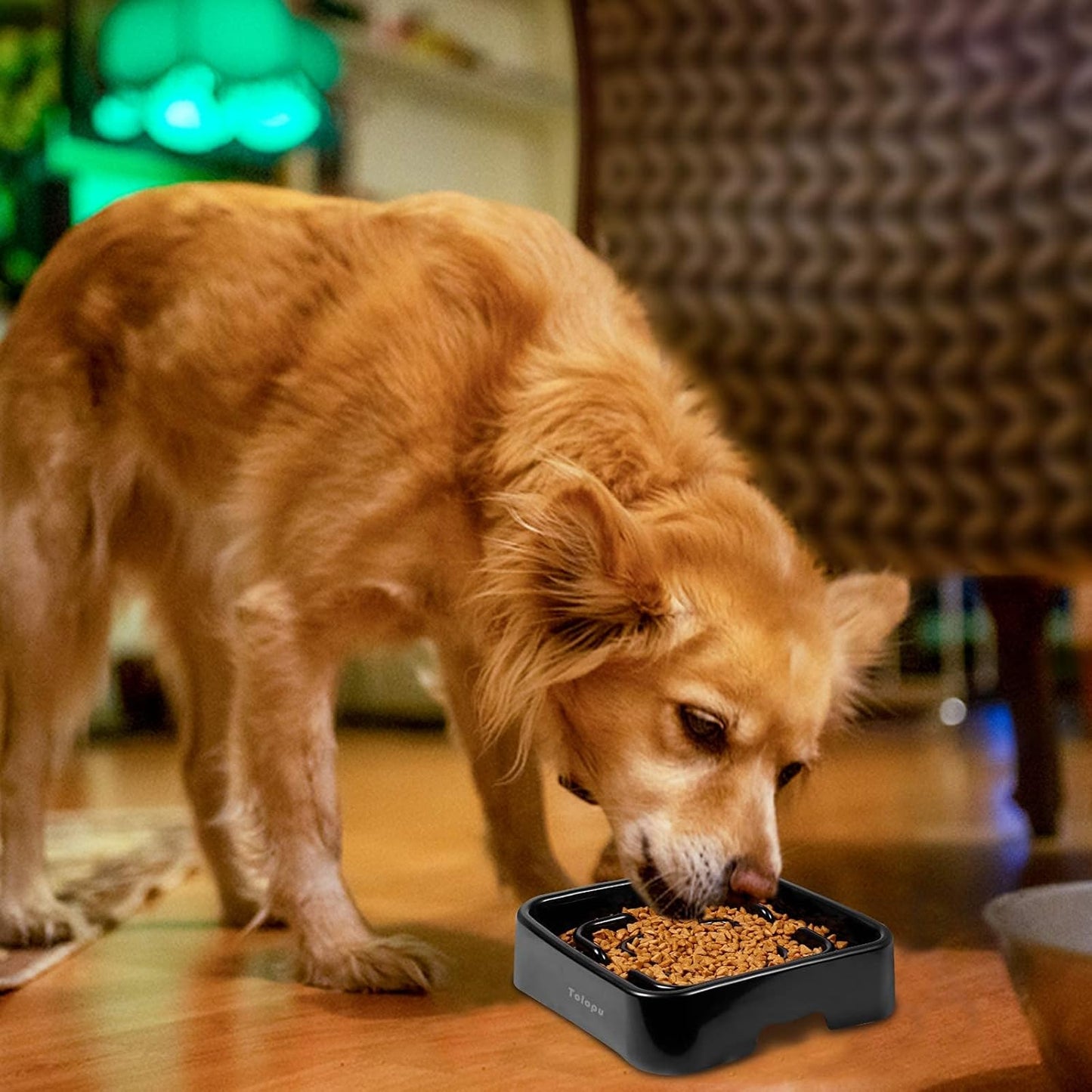 Extra-Large Durable ABS Large Slow Feeder Dog Bowls(10 Cups Capacity) Stop Bloat Bowl Anti-Choking &Anti-Gulping & Fun Feeding Bowl (Large, Black)