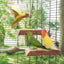 Natural Wooden Bird Perch (2 Packs)