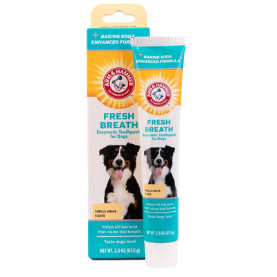 for Pets Clinical Care Dental Enzymatic Toothpaste for Dogs Soothes Inflamed Gums Safe for Puppies 1 Pack Fresh Breath Vanilla Ginger (Pack of 1)