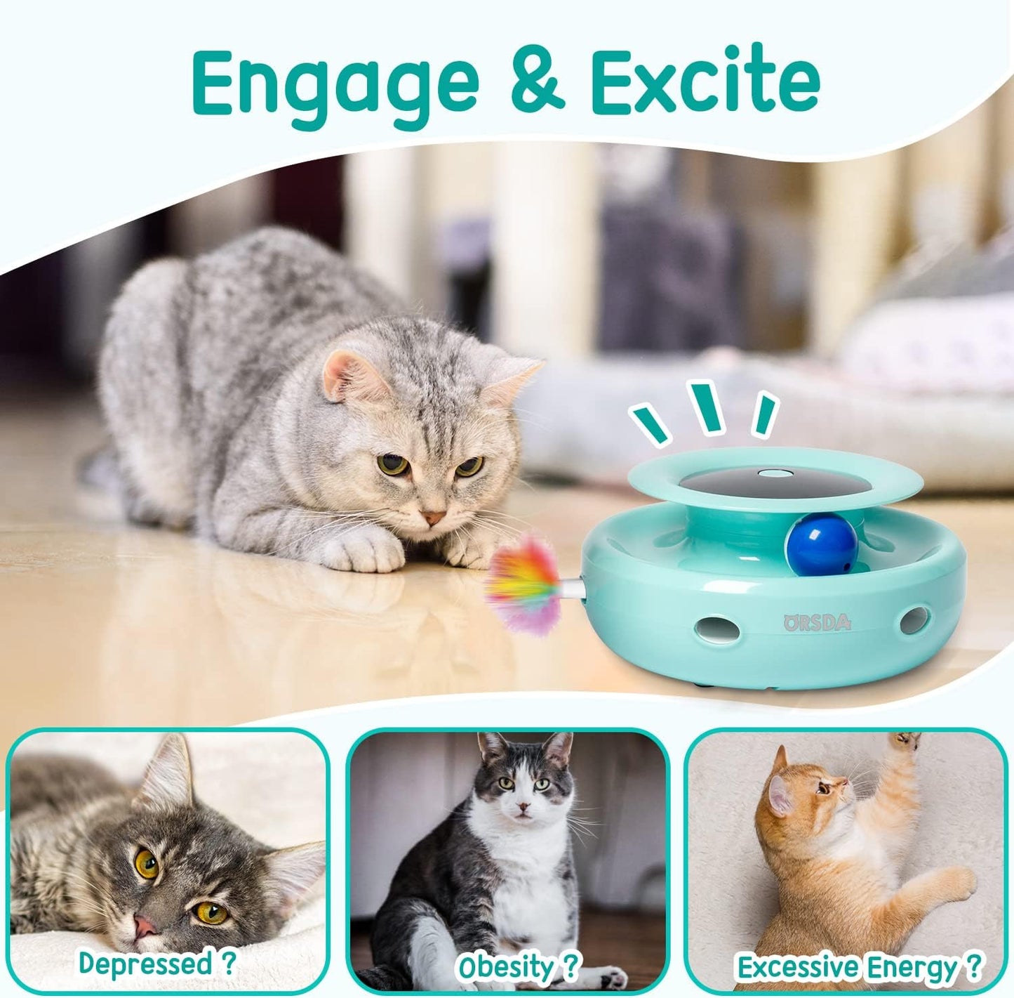 ORSDA 2-in-1 Interactive Cat Toy – Double the Fun!