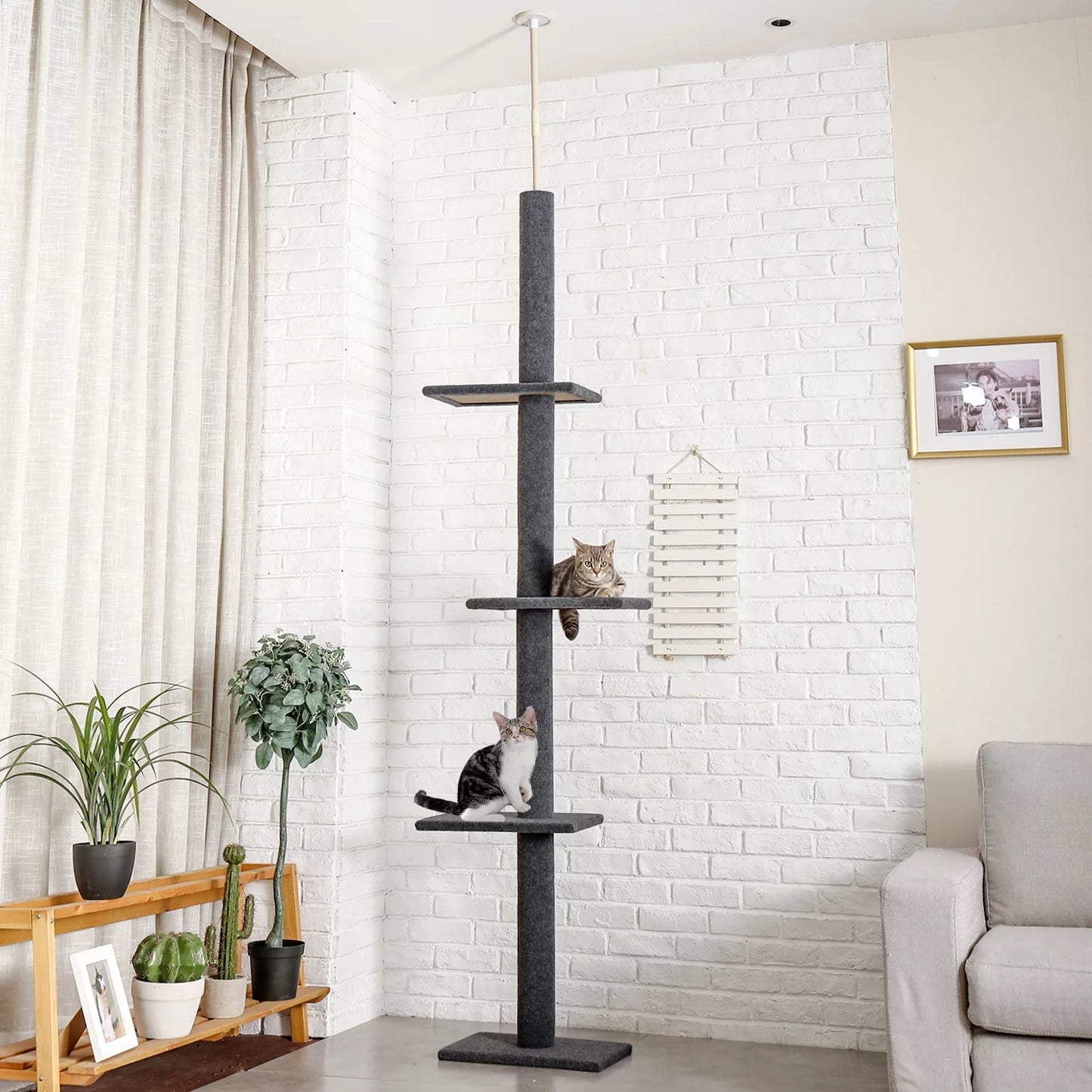 Pawz Road Adjustable 4-Tier Cat Tree – Tall Floor-to-Ceiling Activity Center