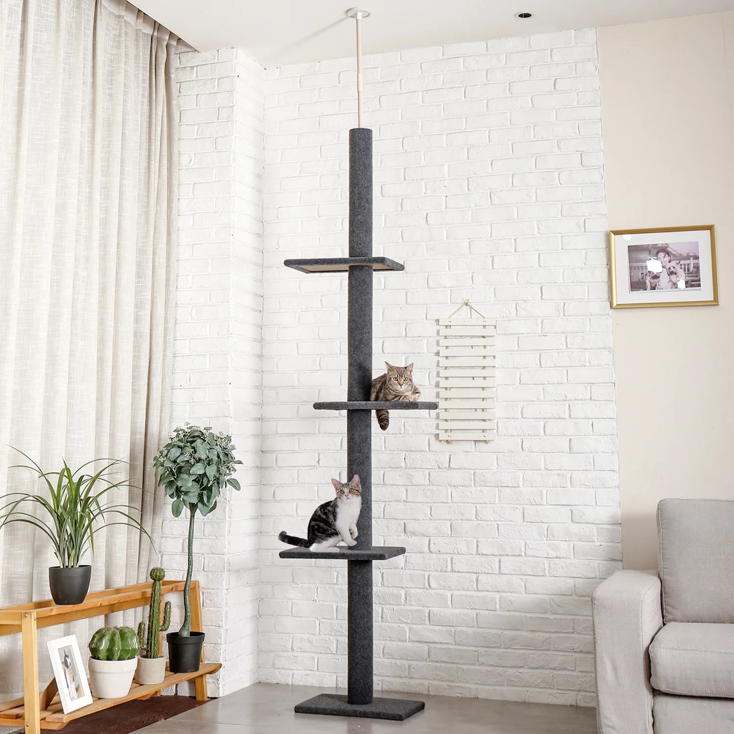 Pawz Road Adjustable 4-Tier Cat Tree – Tall Floor-to-Ceiling Activity Center