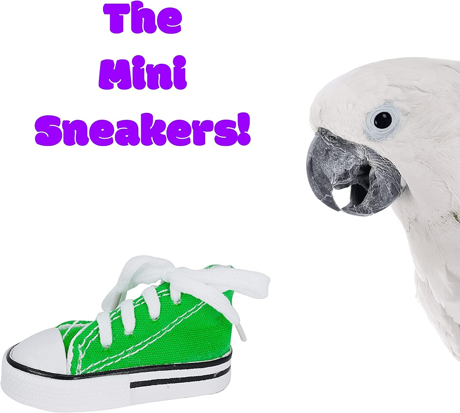 4 Mini Sneakers  Colorful Cotton Rubber Bird Safe Parrot Quaker Parrotlet Cockatiel