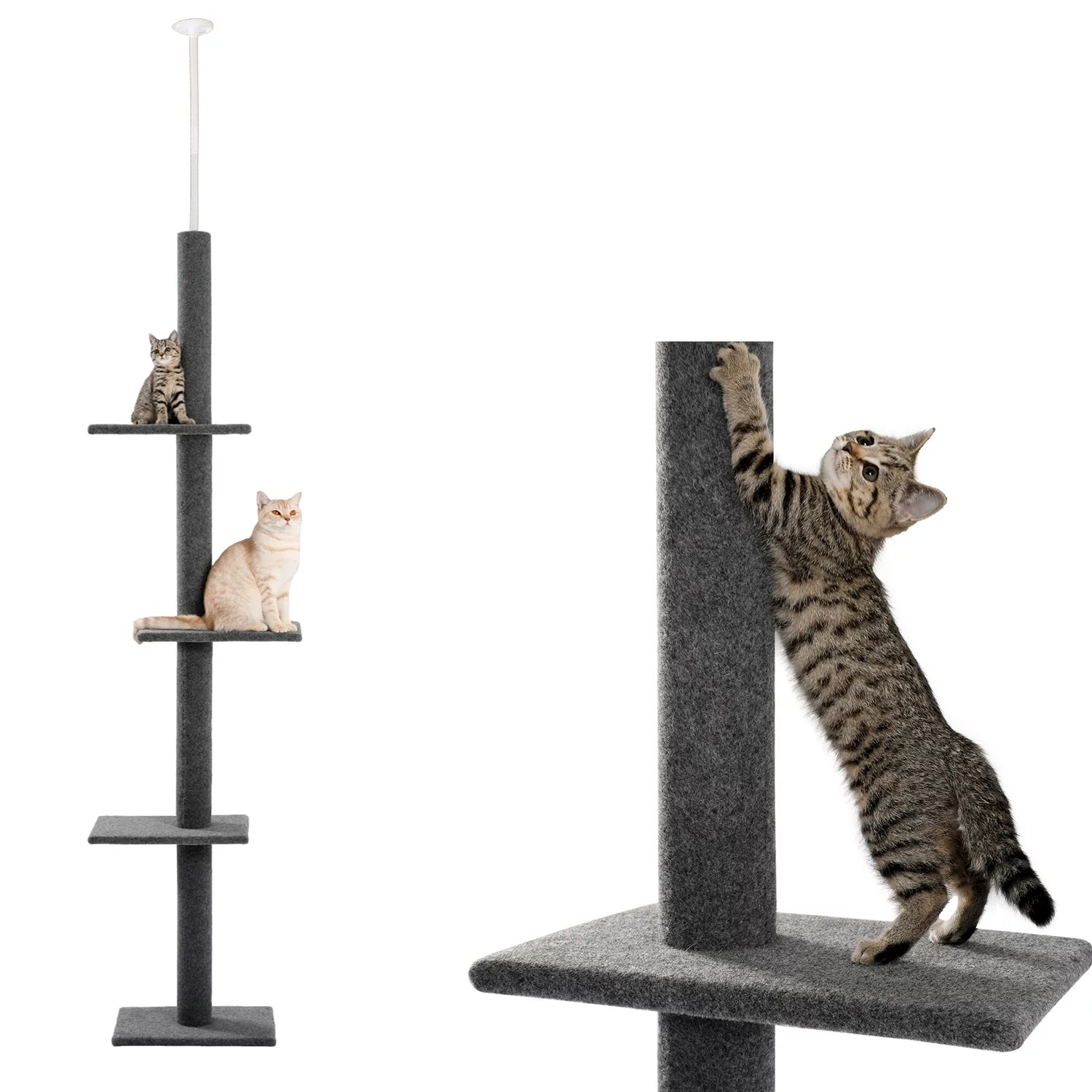 Pawz Road Adjustable 4-Tier Cat Tree – Tall Floor-to-Ceiling Activity Center