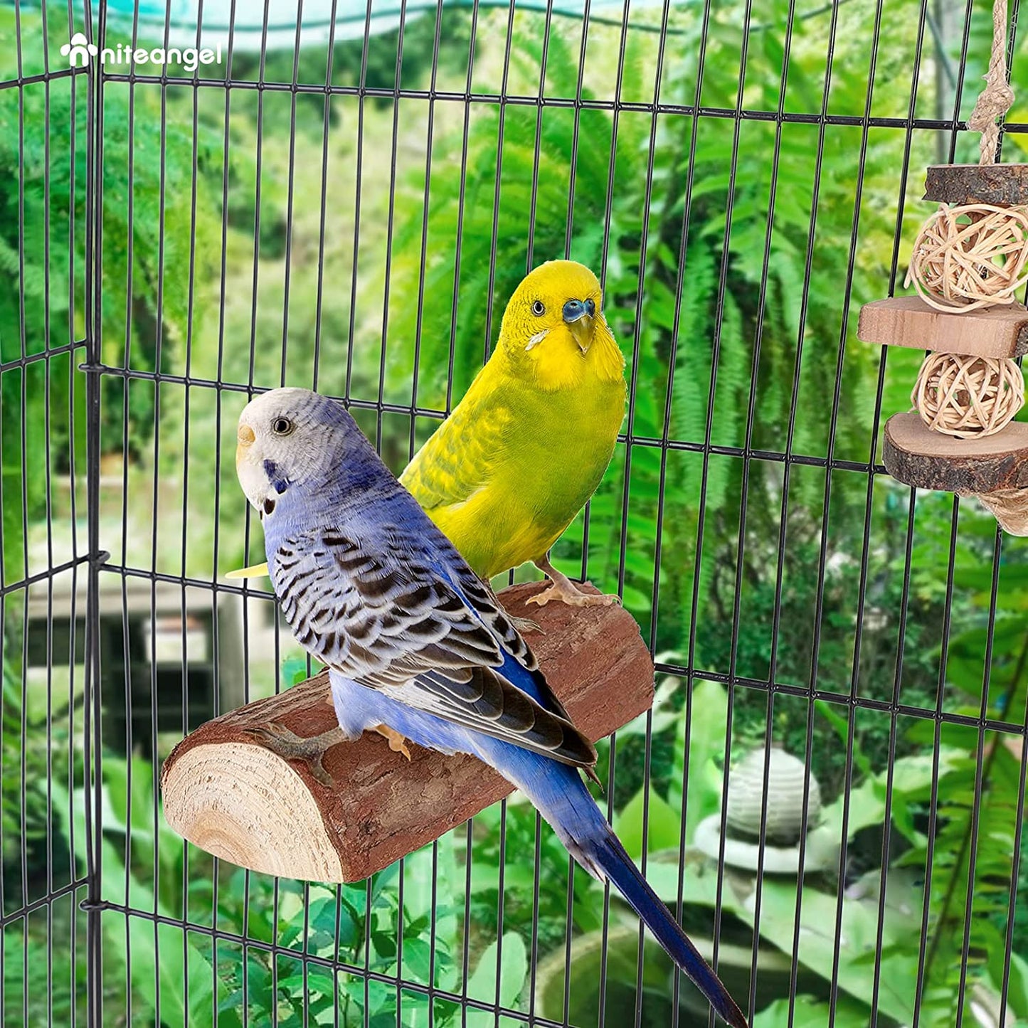 Natural Wooden Bird Perch (2 Packs)