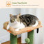 PAWZ Road Cactus Cat Tree – Cozy, Fun & Scratch-Friendly!