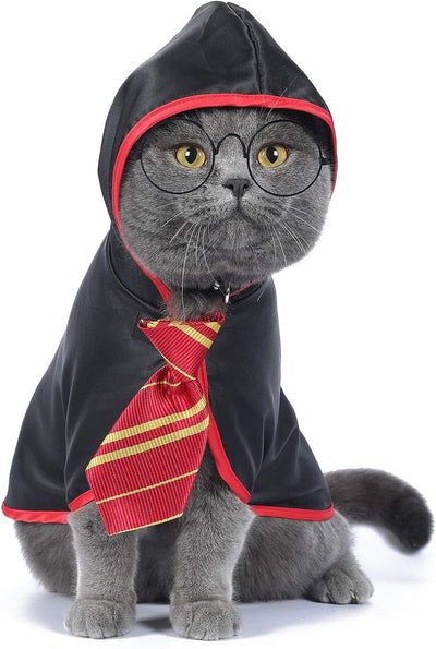 Halloween Pet Cloak – Cute & Comfortable Costume for Cats & Small Dogs