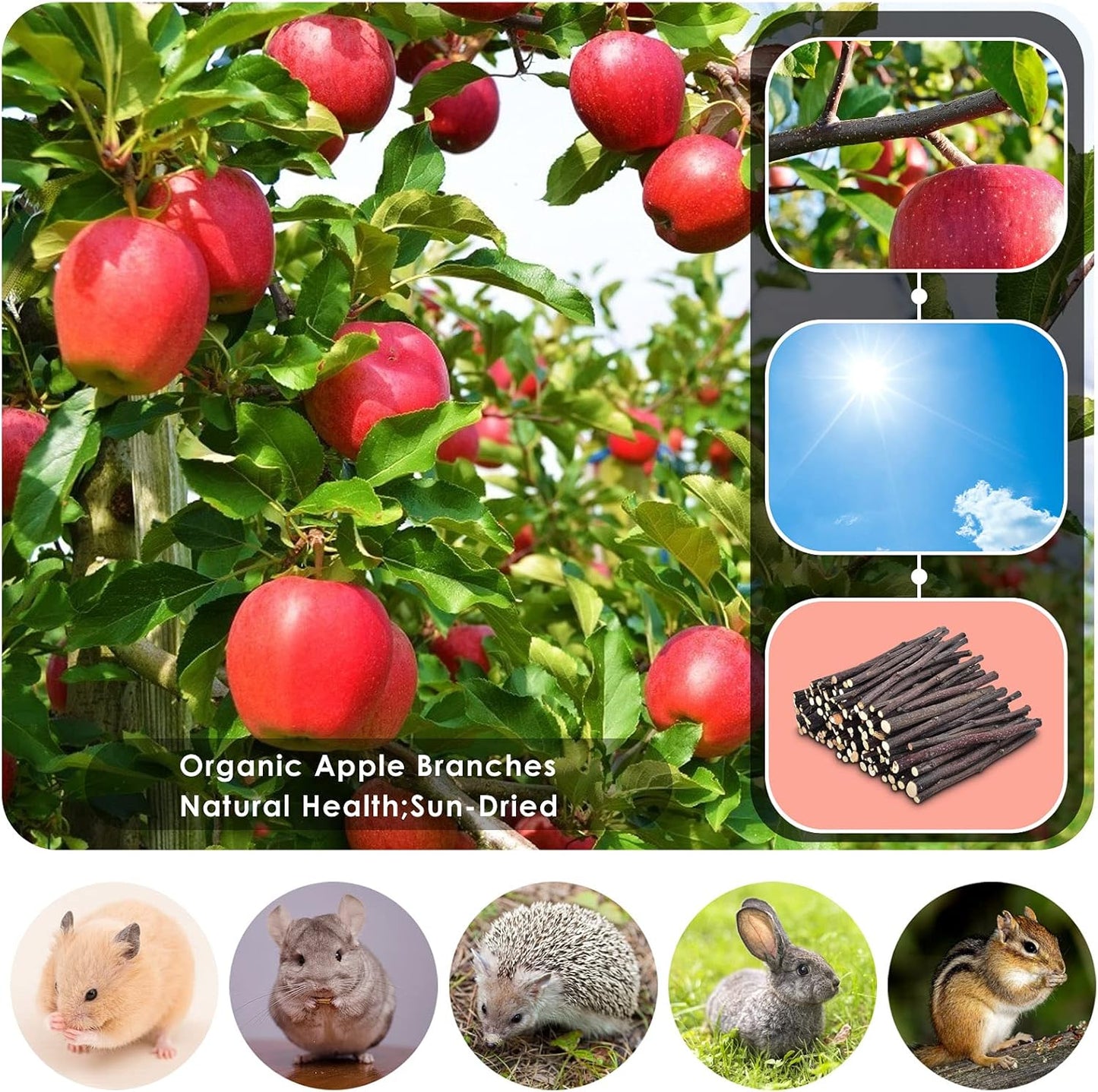 Natural Apple Sticks 300G (10.5Oz Small Animals Molar Chew Toys Apple Branch Chew Treats for Hamster Rabbit Chinchilla Bunny Guinea Pig Squirrel