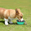 SLSON Collapsible Dog Bowl – Lightweight, Portable & Durable