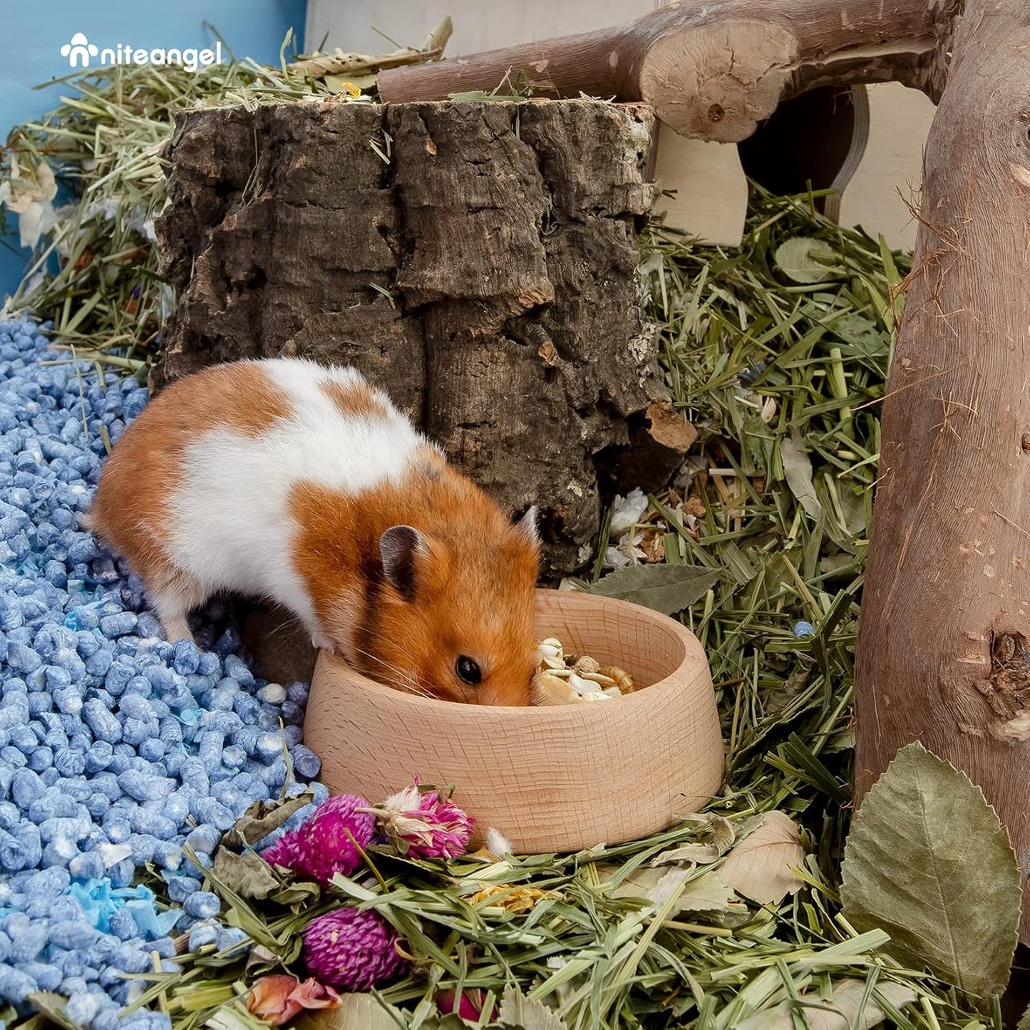 Wooden Hamster Feeding Bowl - Small Animal Food Dish for Dwarf Syrian Hamsters Gerbils Mice Degus or Other Similar-Sized Small Pets (Hammy Pattern, for Syrian)