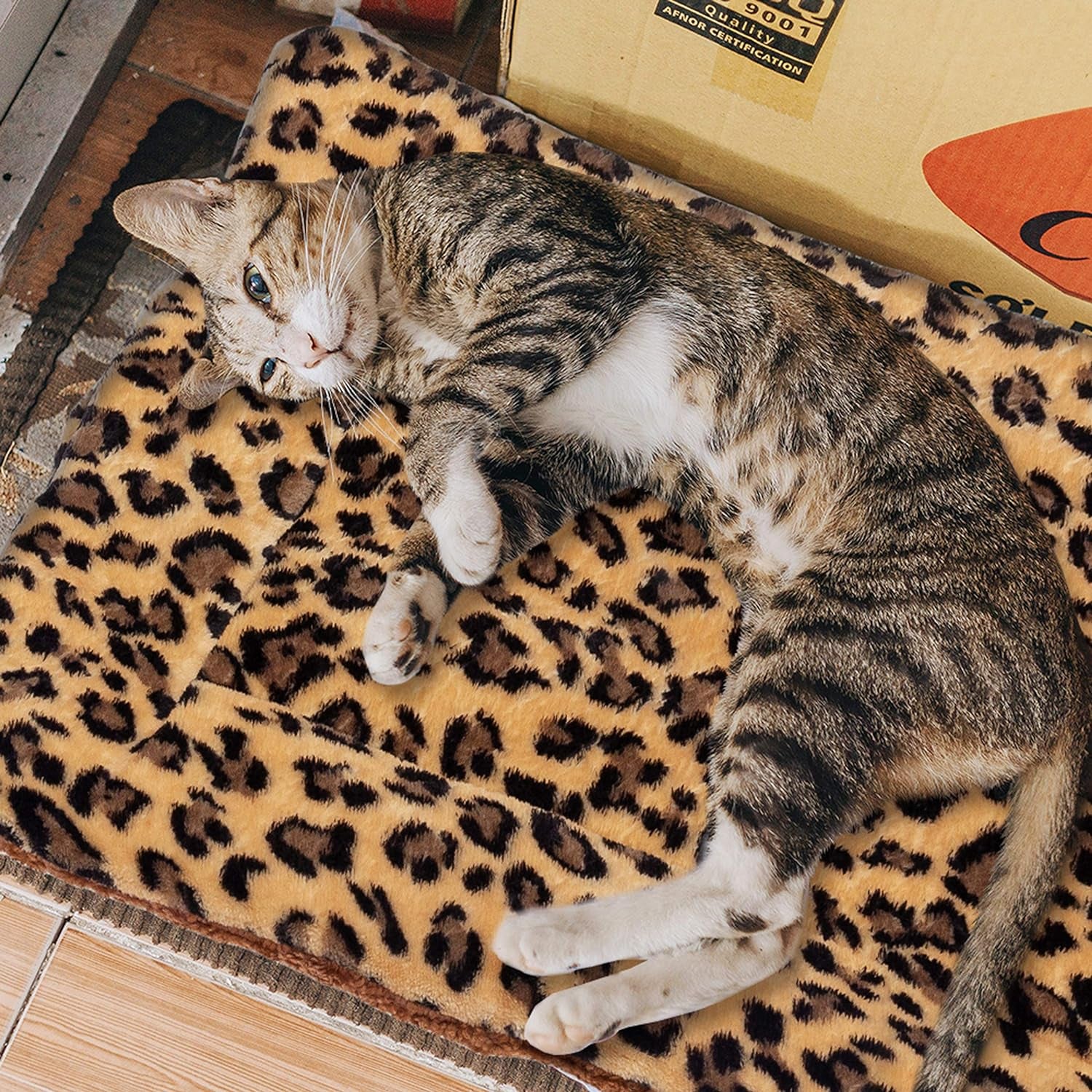 Cat Bed Mat for Indoor Cats - Self Warming Leopard Cute Cat Bed Mat, Soft Warm Washable Self Heating Cat Bed Pad for Small, Medium, Large Cats & Puppies(19.7"*29.5")