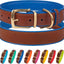 Leather Dog Collar Brass Buckle Soft Padded Puppy Small Medium Large Red Pink Blue Green Purple Yellow (Neck Fit 11"-13", Navy Blue)