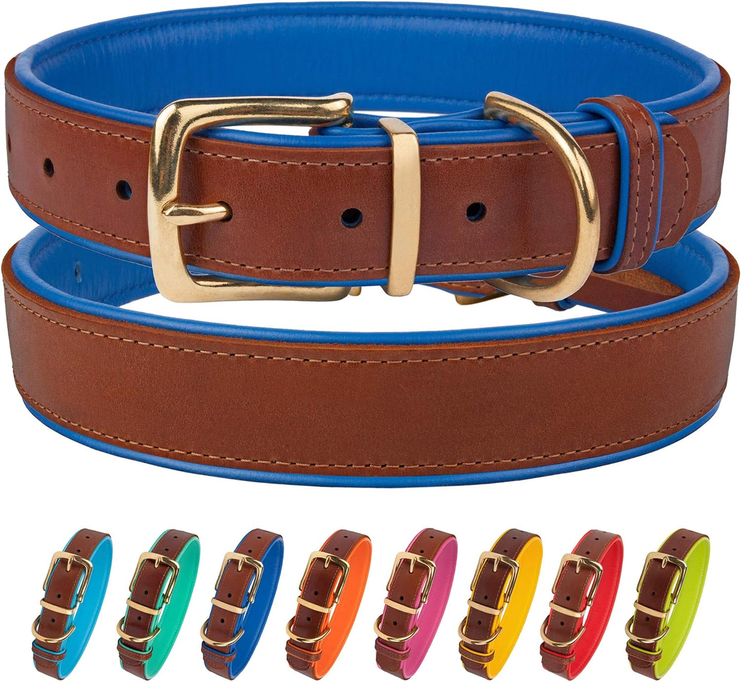 Leather Dog Collar Brass Buckle Soft Padded Puppy Small Medium Large Red Pink Blue Green Purple Yellow (Neck Fit 11"-13", Navy Blue)