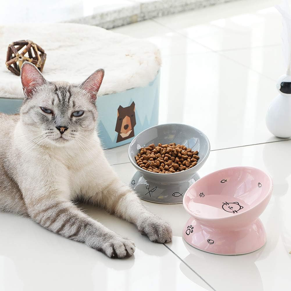 Ceramic Raised Cat Bowls, Slanted Cat Dish Food or Water Bowls, Elevated Porcelain Pet Feeder Bowl Protect Cat'S Spine, Stress Free, Backflow Prevention (Grey)