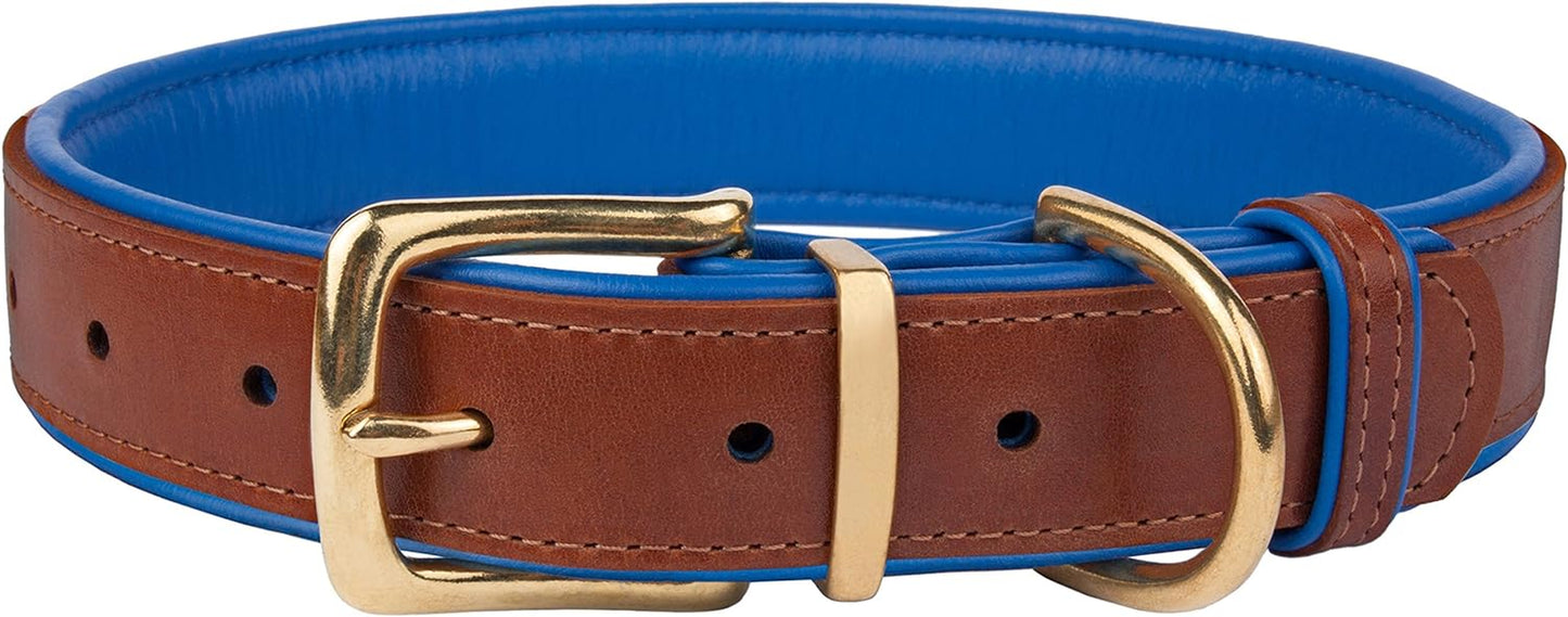 Leather Dog Collar Brass Buckle Soft Padded Puppy Small Medium Large Red Pink Blue Green Purple Yellow (Neck Fit 11"-13", Navy Blue)