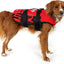 DFD Dog Life Jacket - Adjustable Swimming Safety Vest with Reflective Trim & Durable Grab Handle - 50% More Flotation Material - Small, Red