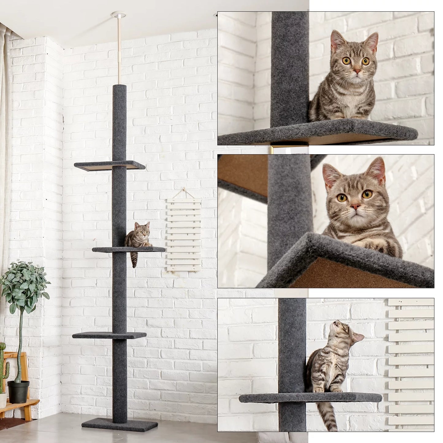 Pawz Road Adjustable 4-Tier Cat Tree – Tall Floor-to-Ceiling Activity Center