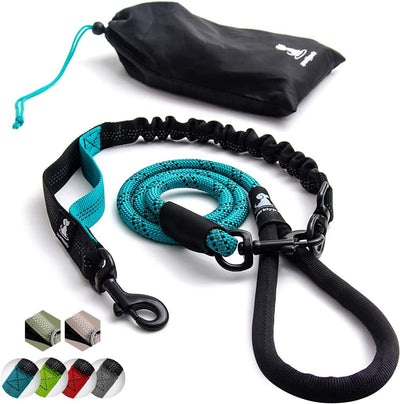 Heavy-Duty Bungee Leash for Dogs – Anti-Pull, Reflective, 5.5ft (Teal)