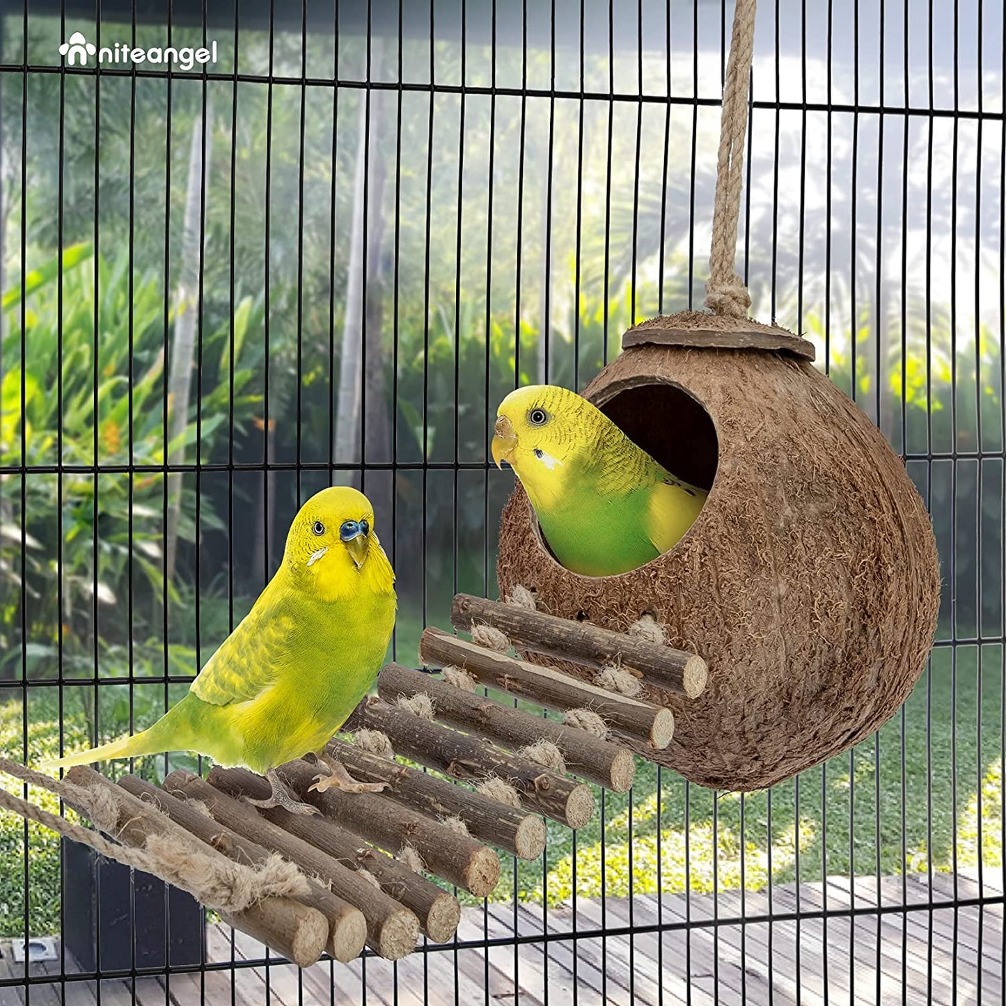 Natural Coconut Hideaway with Ladder, Bird and Small Animal Toy (House with Ladder, Natural Surface)