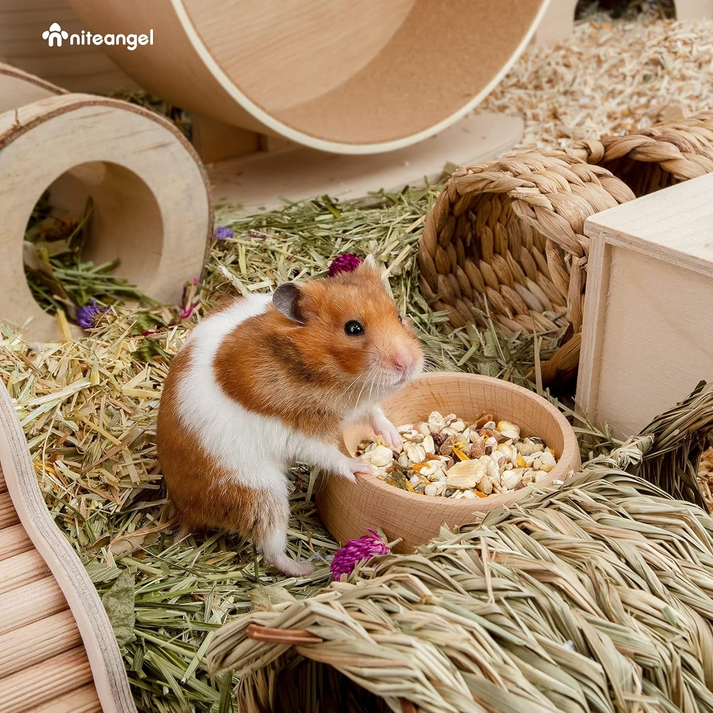 Wooden Hamster Feeding Bowl - Small Animal Food Dish for Dwarf Syrian Hamsters Gerbils Mice Degus or Other Similar-Sized Small Pets (Hammy Pattern, for Syrian)