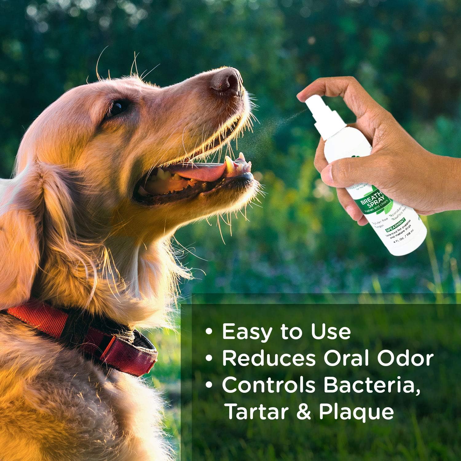 Dog Breath Freshener Dental Care Spray - Dog Oral Health Teeth Cleaning Formula Targets Bad Dog Breath, Plaque & Tartar Build-Up, Supports Oral Care, Gum Health & Immune System (Gallon)