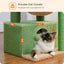 PAWZ Road Cactus Cat Tree – Cozy, Fun & Scratch-Friendly!