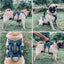 Updated for 2024 - Tracker No Escape Dog Harness | Dual Escape Proof Leash Attachments | 5 Point Adjustable Fit Harness for Dogs | Padded Dog Harness for Comfort | Handle Dog Lift Harness