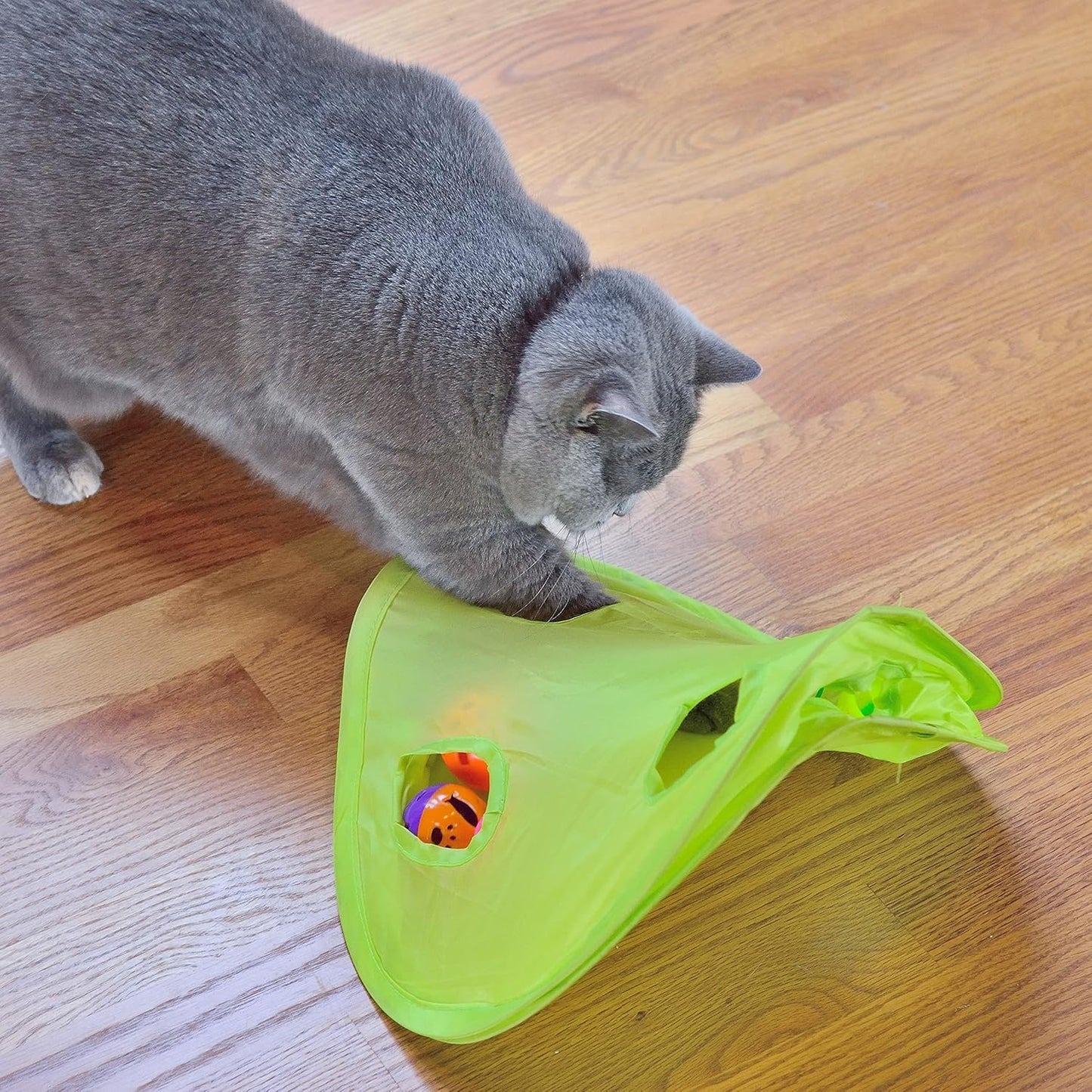 GREAT VALUE Cat Toy Set – 18 Pieces of Fun!