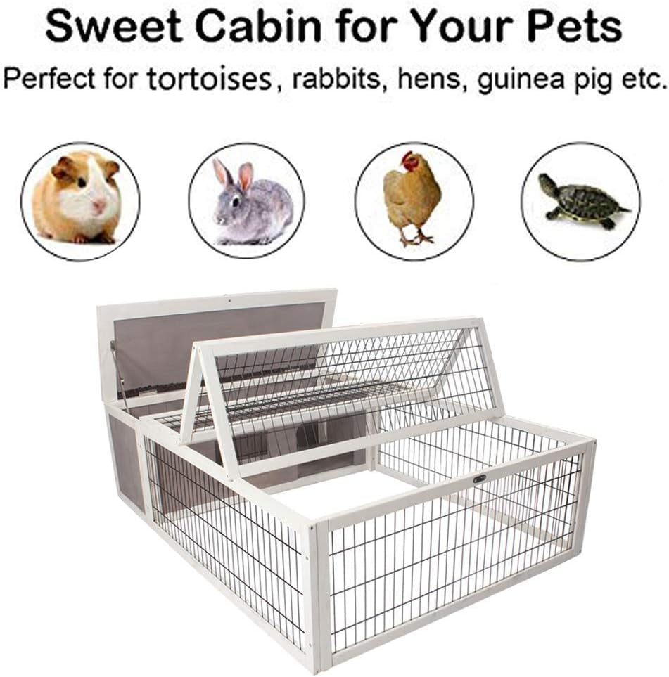 Spacious & Secure Small Animal Enclosure