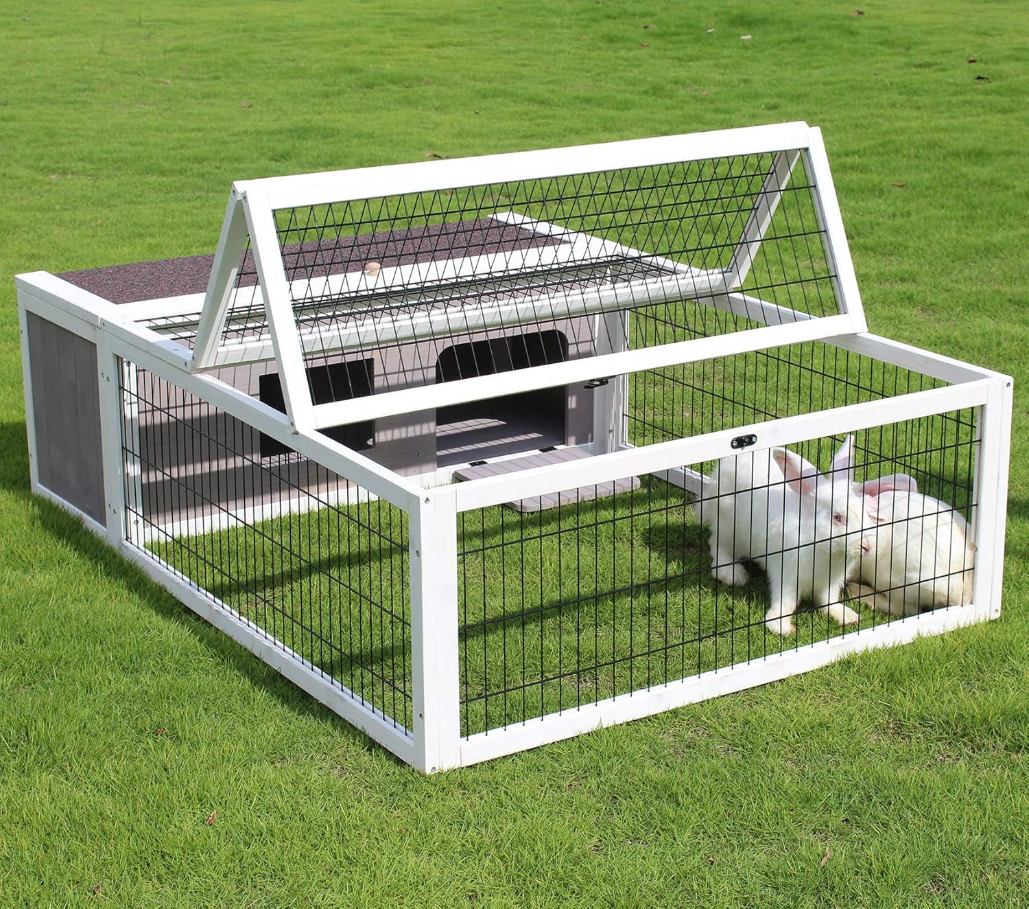 Spacious & Secure Small Animal Enclosure