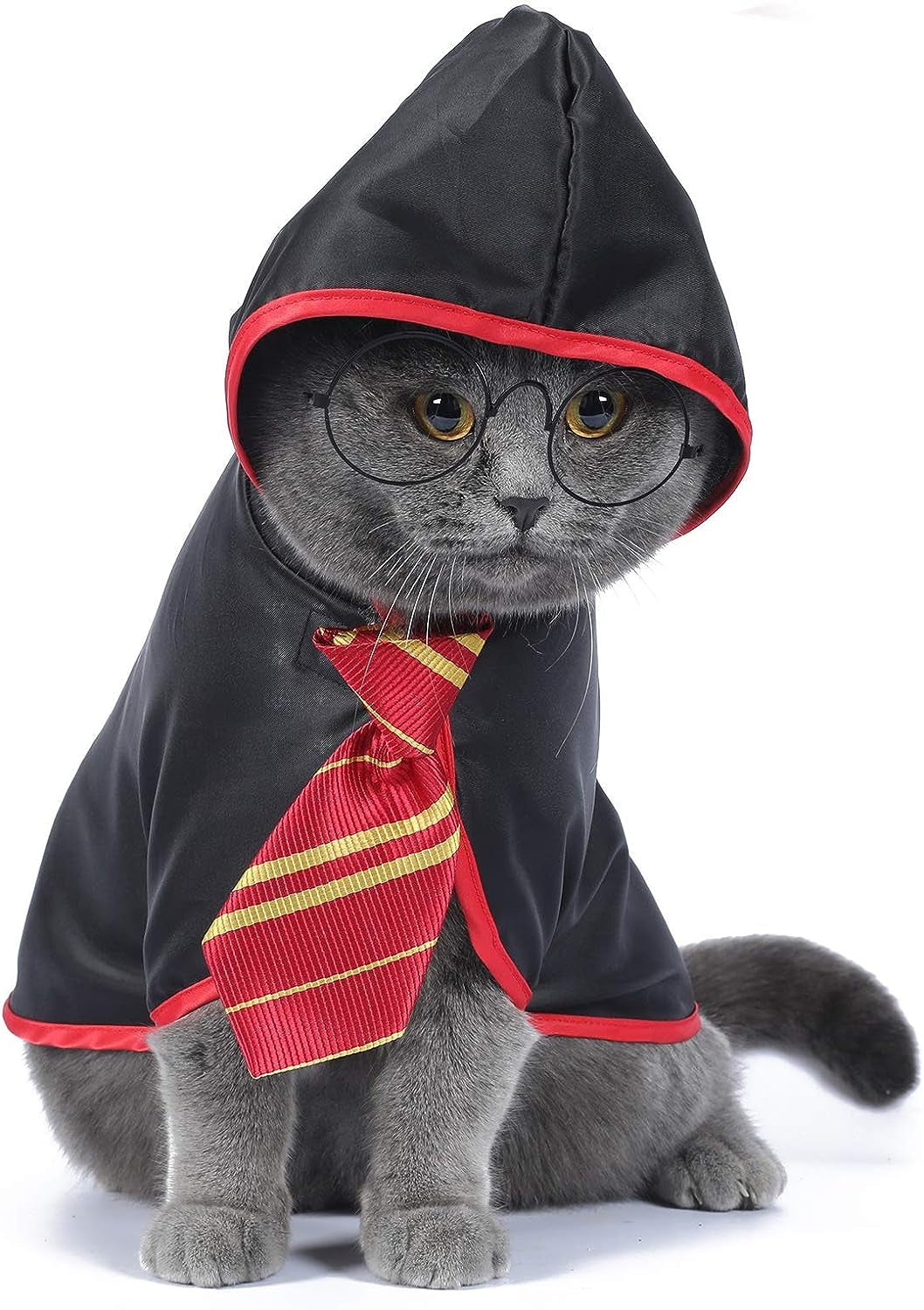 Halloween Pet Cloak – Cute & Comfortable Costume for Cats & Small Dogs