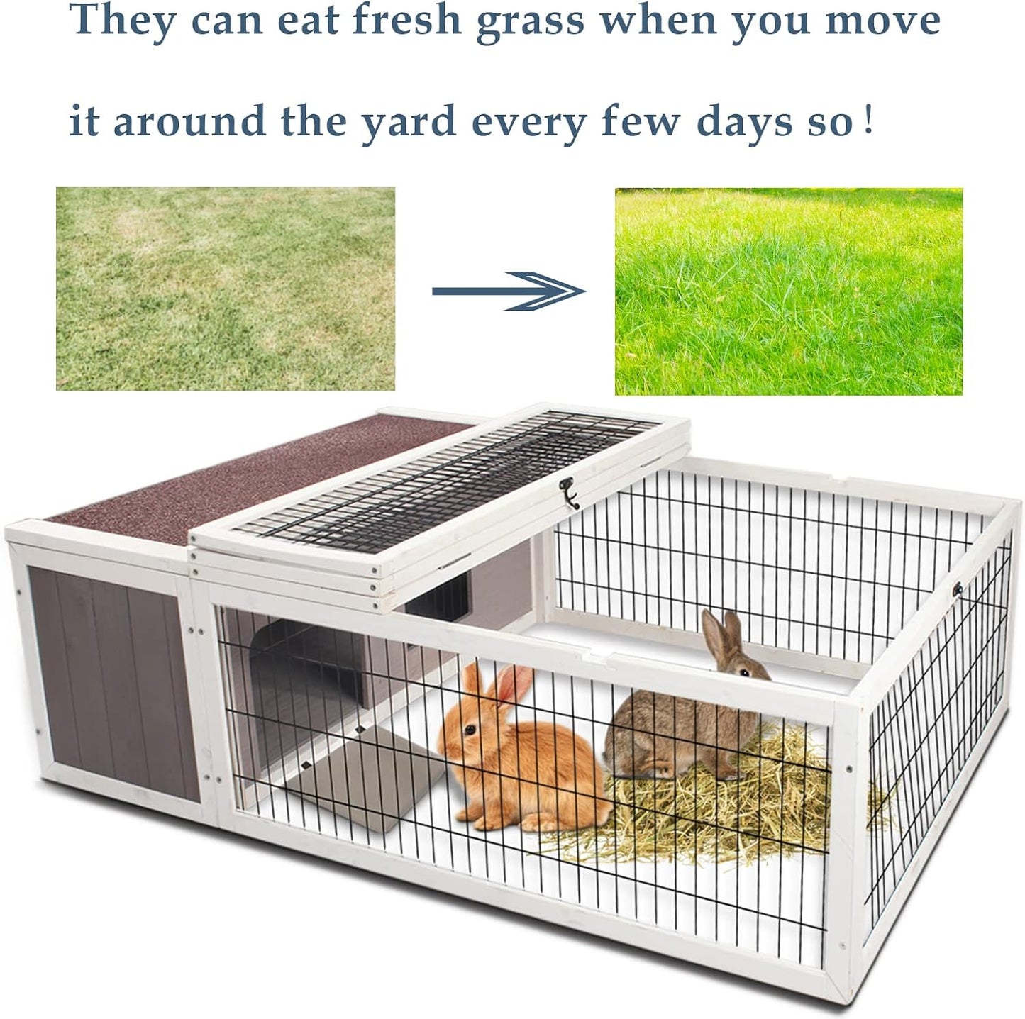 Spacious & Secure Small Animal Enclosure