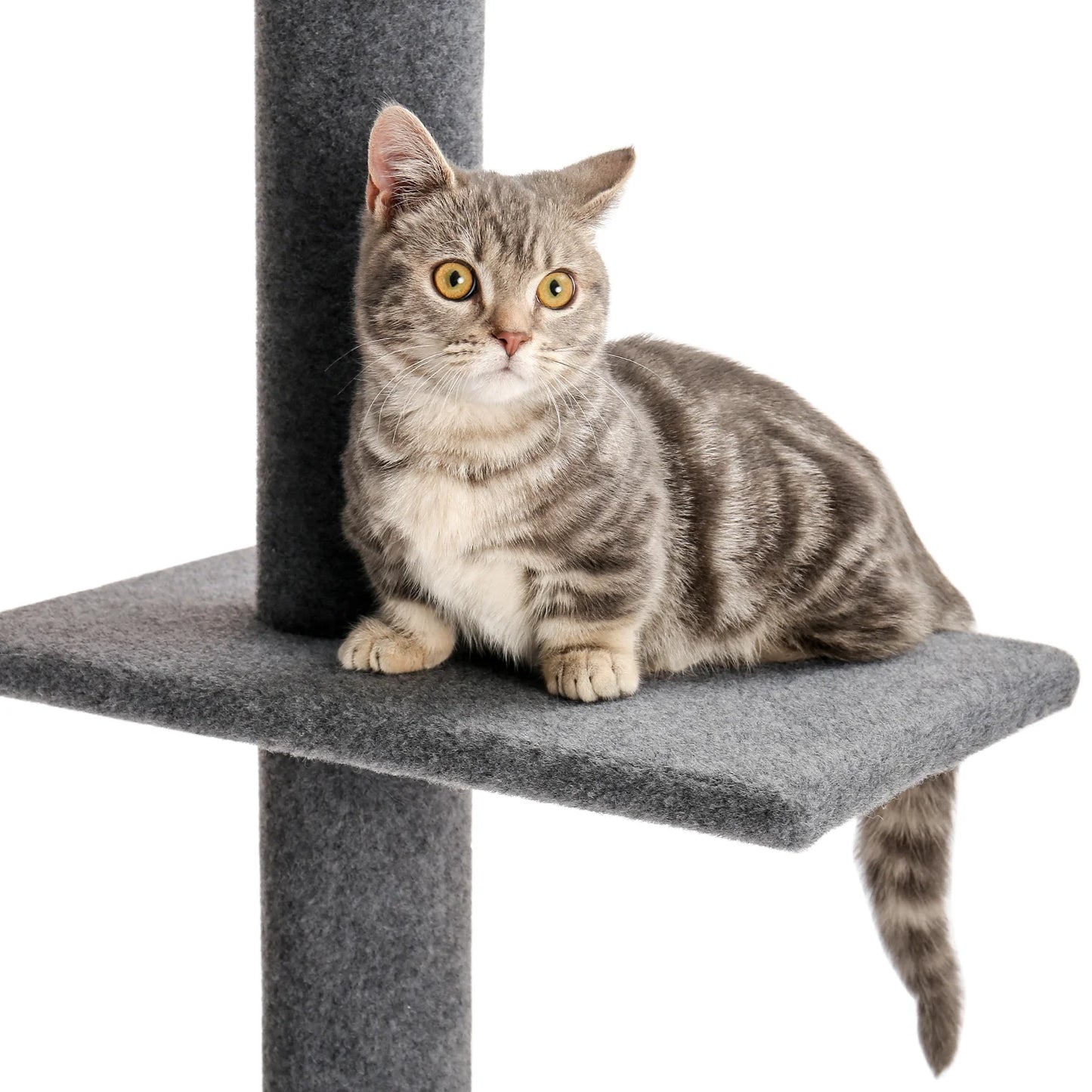 Pawz Road Adjustable 4-Tier Cat Tree – Tall Floor-to-Ceiling Activity Center