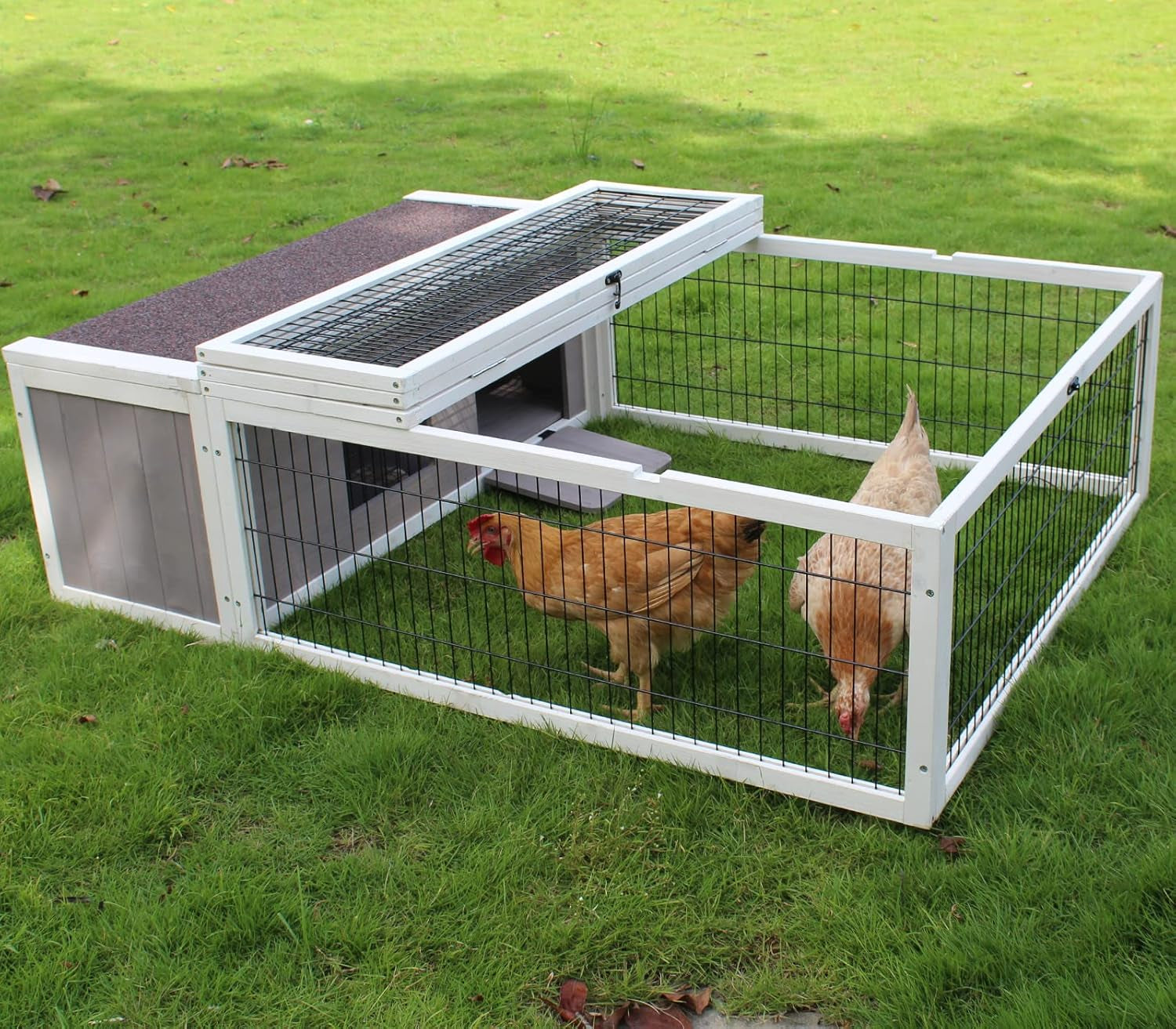 Spacious & Secure Small Animal Enclosure