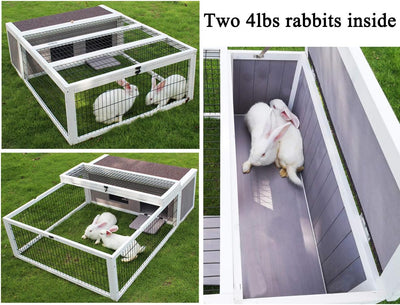 Spacious & Secure Small Animal Enclosure