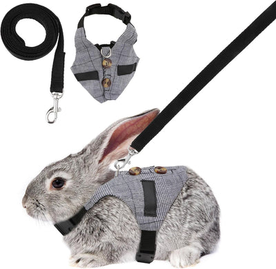 Stylish & Secure Rabbit Harness – Walk in Comfort and Style