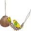 Natural Coconut Hideaway with Ladder, Bird and Small Animal Toy (House with Ladder, Natural Surface)