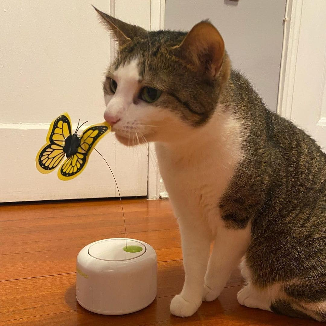 Motion-Activated Cat Toy: Butterfly Fun with 360° Rotation