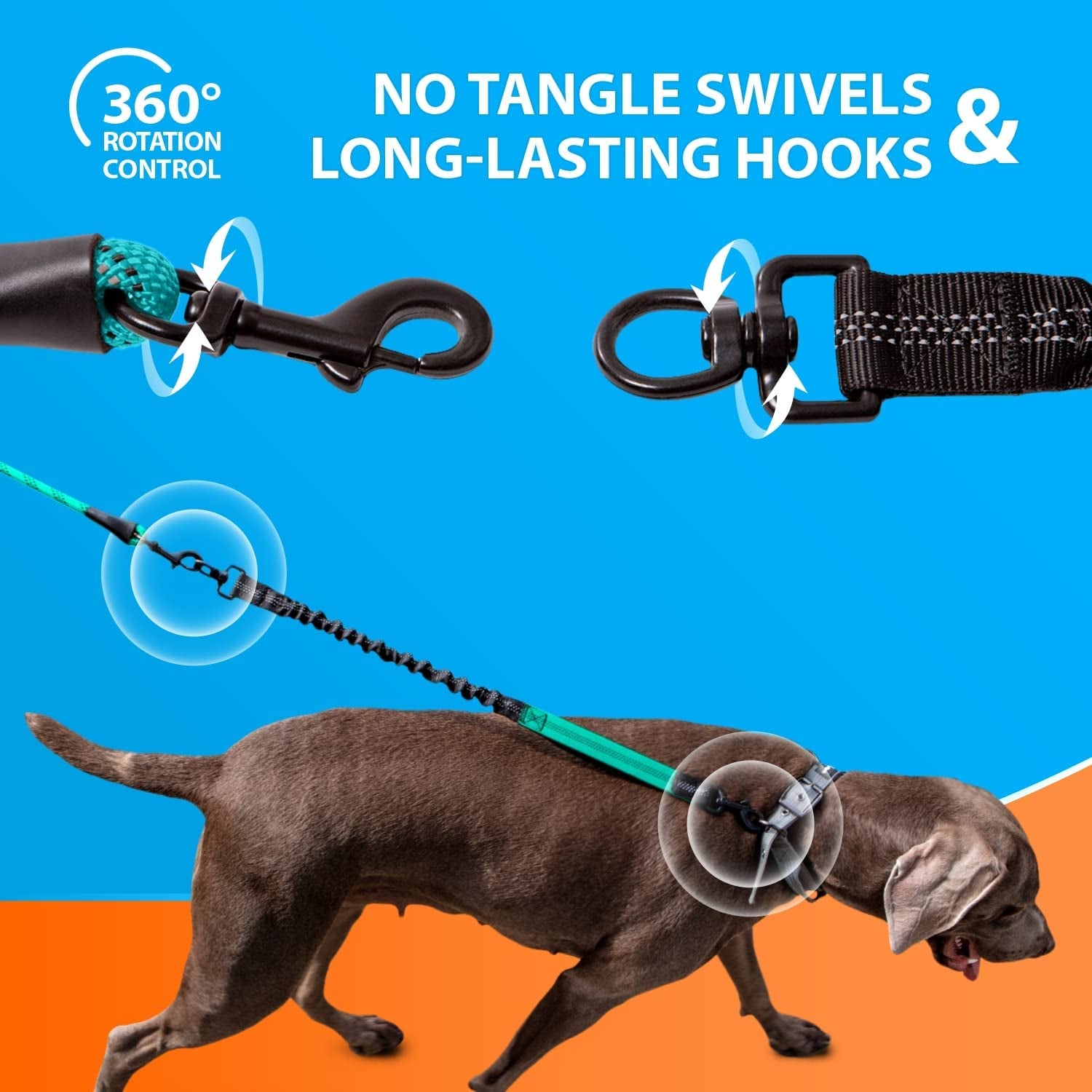 Heavy-Duty Bungee Leash for Dogs – Anti-Pull, Reflective, 5.5ft (Teal)