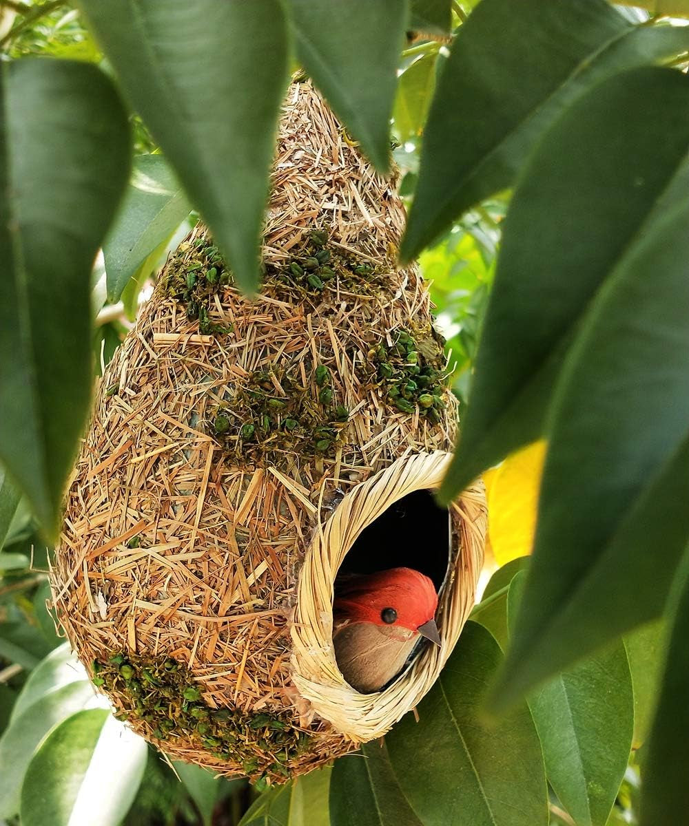 2 Pack Hummingbird Grass Birdhouse for outside Hanging Hand Woven Bird House Hut Nest Cozy Resting Place for Backyard Home Garden (Grass Birdhouse with Green Leaves)