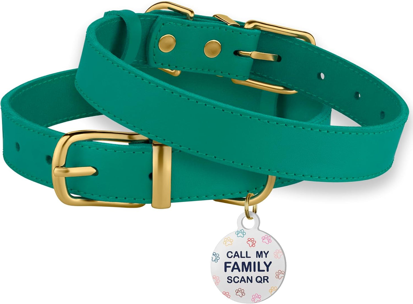 Leather Dog Collar with Metal Buckle Durable Basic Pet Collars for Small Medium Large Dogs (13-16 Inch (Pack of 1), Green & Gold Buckle)