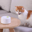 Motion-Activated Cat Toy: Butterfly Fun with 360° Rotation