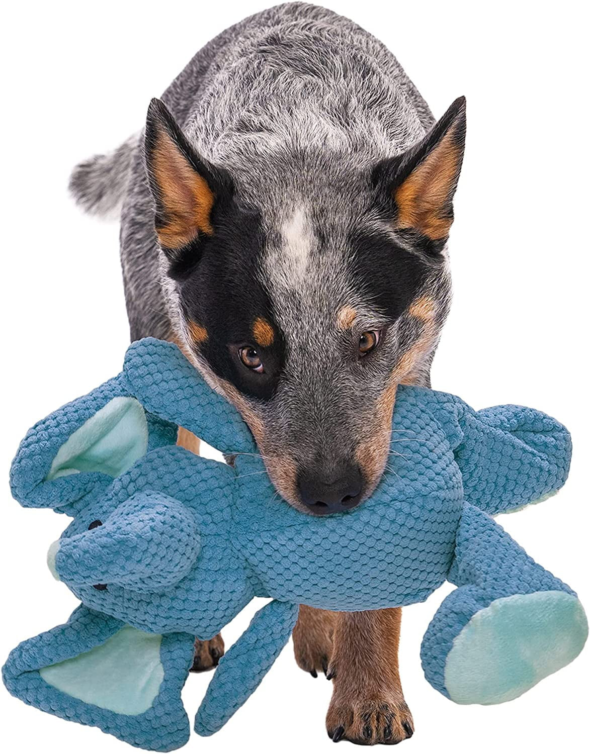 Checkers Elephant Squeaky Plush Dog Toy, Chew Guard Technology - Blue, Large