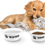 Set of 2 Ceramic Dog Cat Bowl Set, Pet Porcelain Food and Water Feeder Dish Bowls with anti Slip Band, Dishwasher and Microwave Safe (Small)