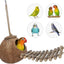 Natural Coconut Hideaway with Ladder, Bird and Small Animal Toy (House with Ladder, Natural Surface)